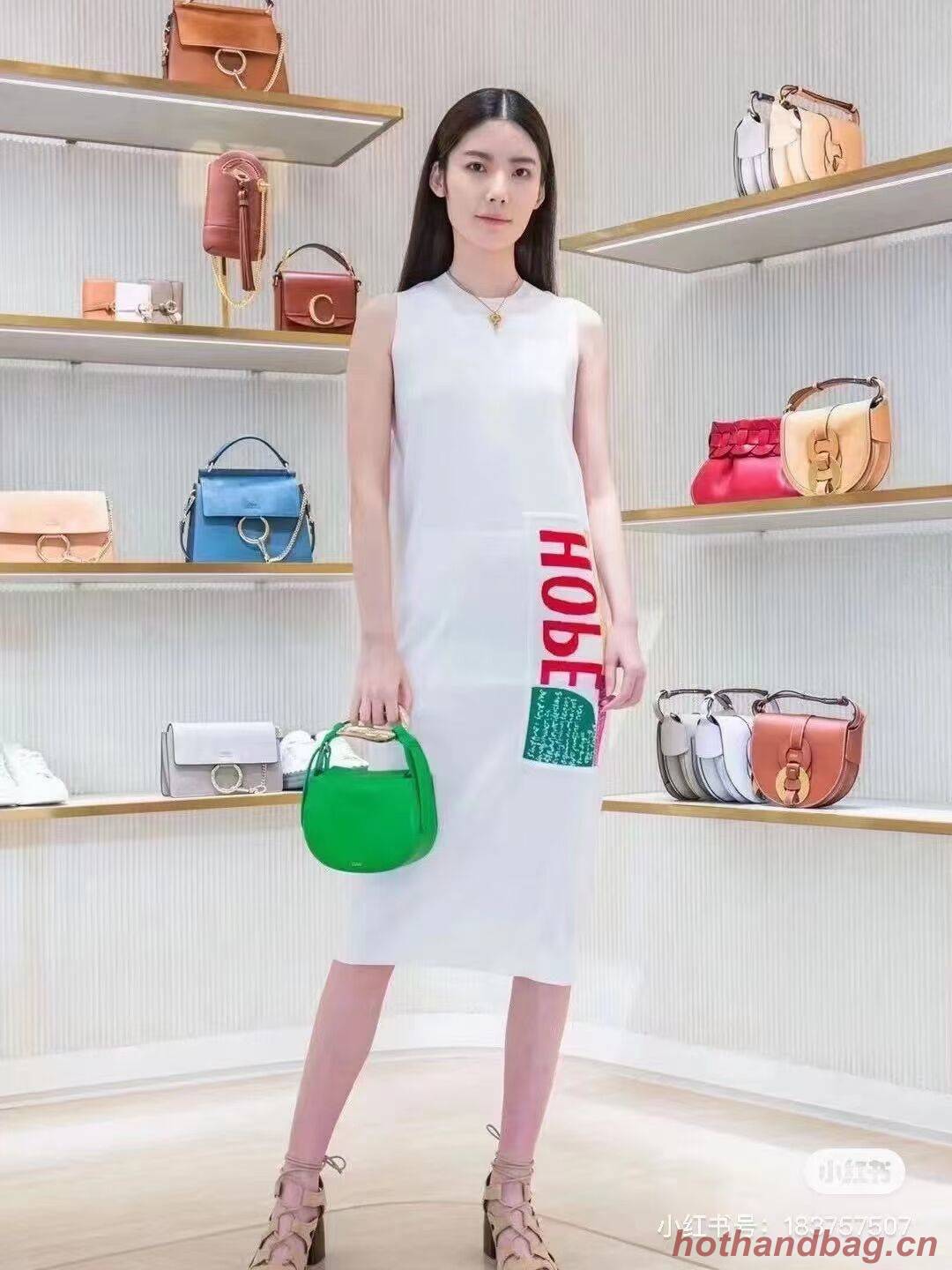 Chloe Original Calfskin Leather Bag 3S1350 green Chloe Original Calfskin Leather Bag 3S1350 green