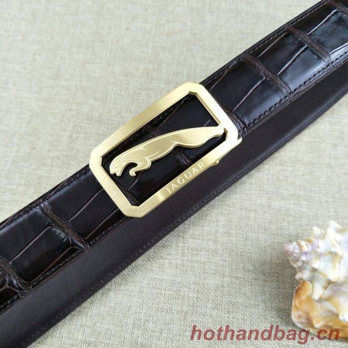 Jaguar Belt 34MM JAB00002-1 Jaguar Belt 34MM JAB00002-1