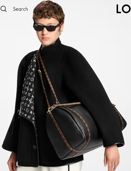 Louis Vuitton NEW Express Travel M26037 black