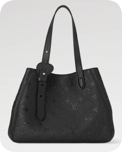 Louis Vuitton NEW All In One PM M25858 black Louis Vuitton NEW All In One PM M25858 black