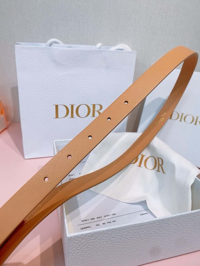 Dior 30 Montaigne Lucky Charms Belt Smooth Calfskin 18MM B0160