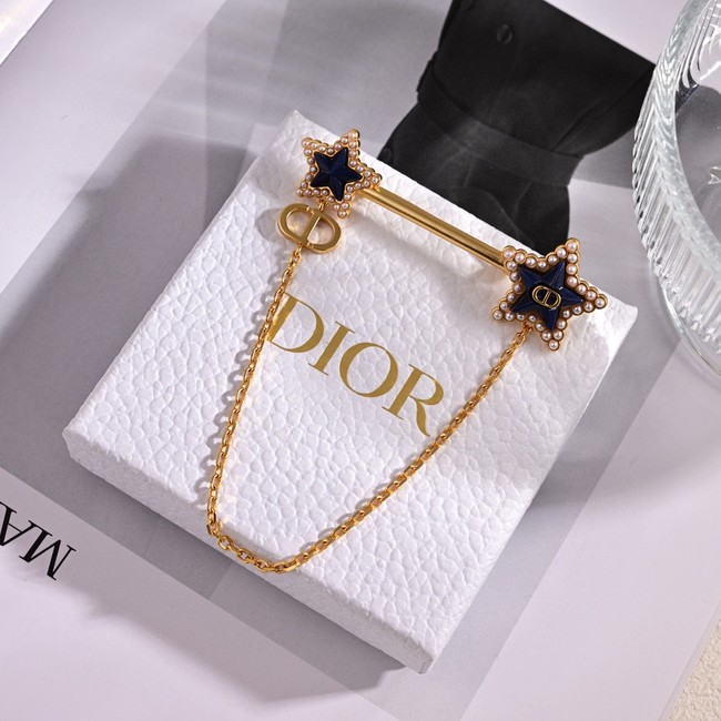Dior brooch CE81137