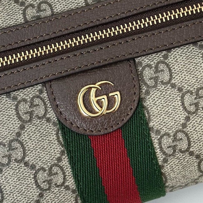 Gucci GG small shoulder bag 816359 brown