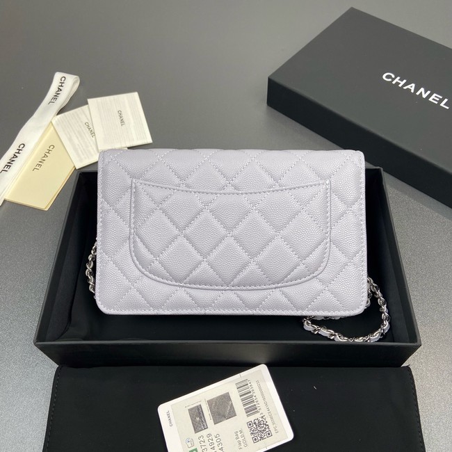Chanel Wallet On Chain AP3723 light Purple