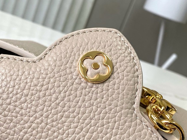 Louis Vuitton Capucines MINI M27040 gray